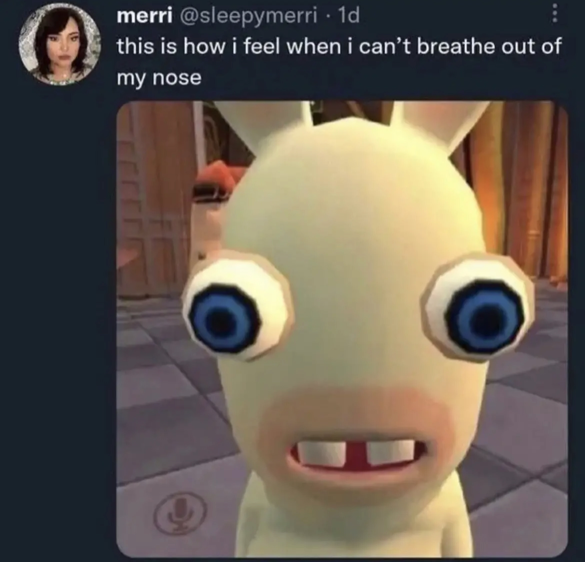 A
              tweet made by @sleepymerri saying 'this is how it feels when i
              can't breathe out of my nose' with a close up picture of one of
              the Rabbits from Rabbids Invasion